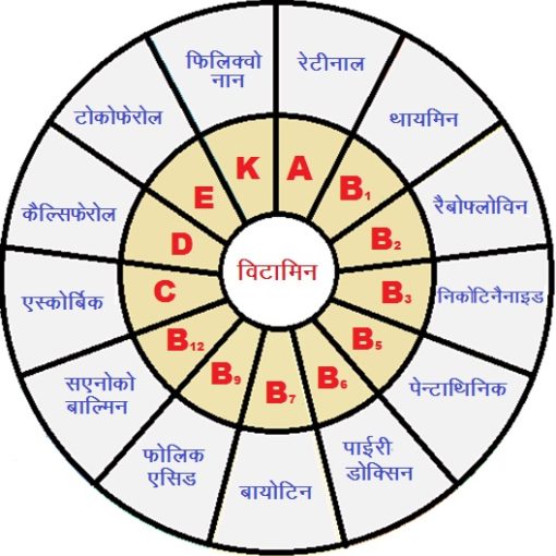 विटामिन के रासायनिक नाम