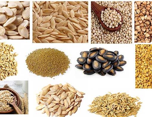 अनाजों के नाम हिंदी में
