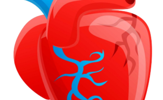 Biology notes in hindi