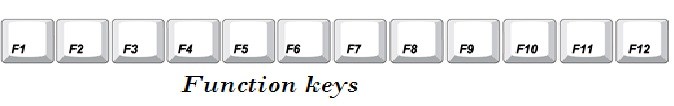 Function keys information for kids - कंप्यूटर के इनपुट डिवाइस (Input Devices)