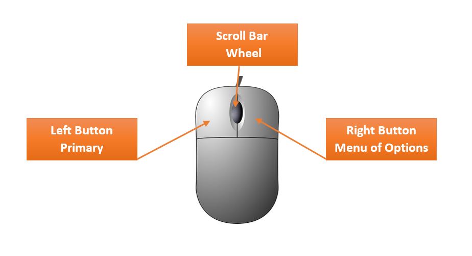 How to use computer mouse - माउस क्या है | How to use computer mouse