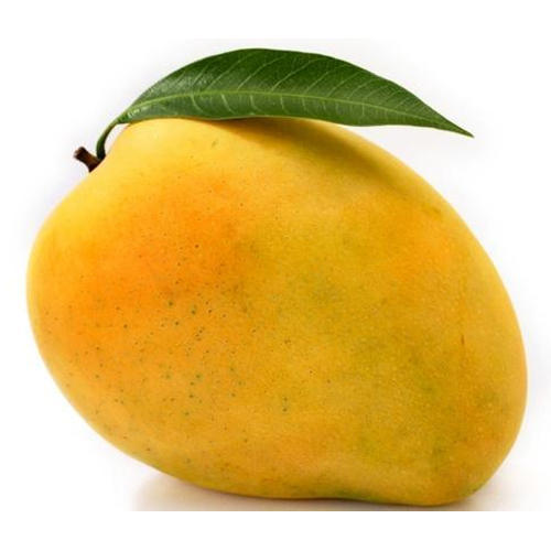 Mango - फलों के नाम हिंदी और इंग्लिश में