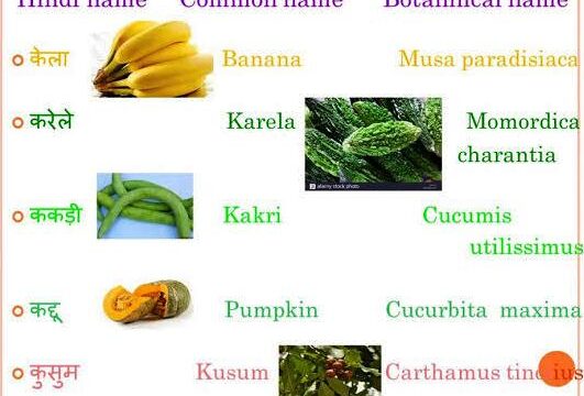 विभिन्न पादपों के वानस्पतिक नाम