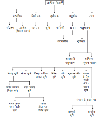 प्राथमिक क्रियाएँ