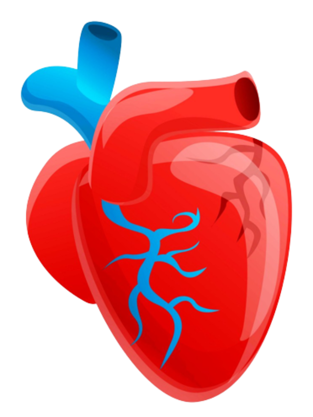 biology-notes-in-hindi-12-11