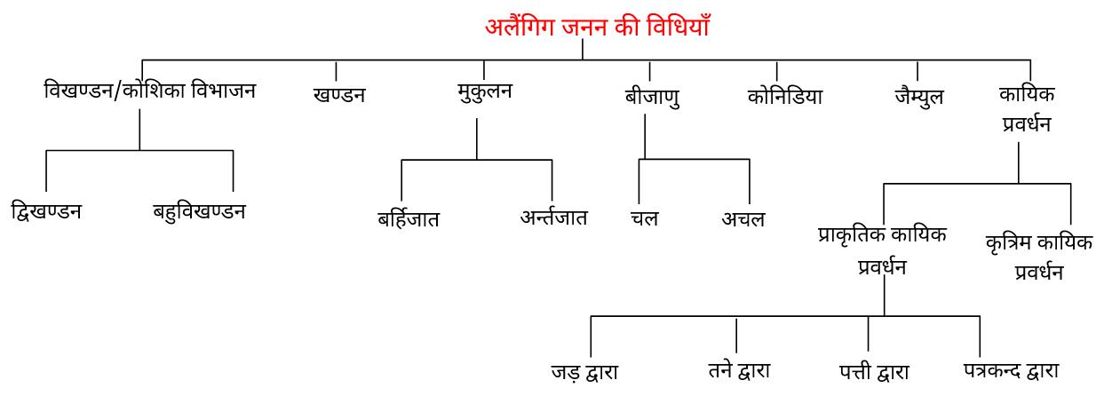 में जनन - जीवों में जनन biology in hindi