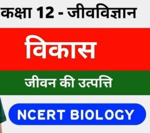 in biology class xii 300x266 - विकास - jiv vigyan